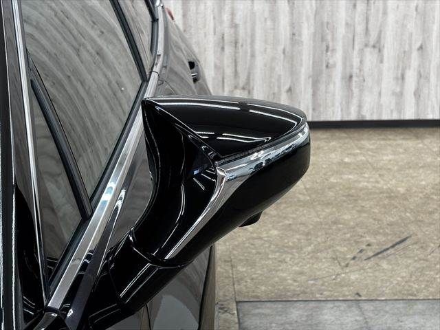 LEXUS UX250h