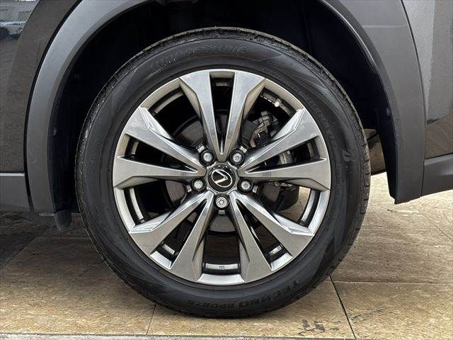 LEXUS UX250h