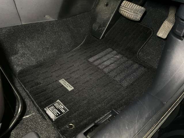 GALANT FORTIS