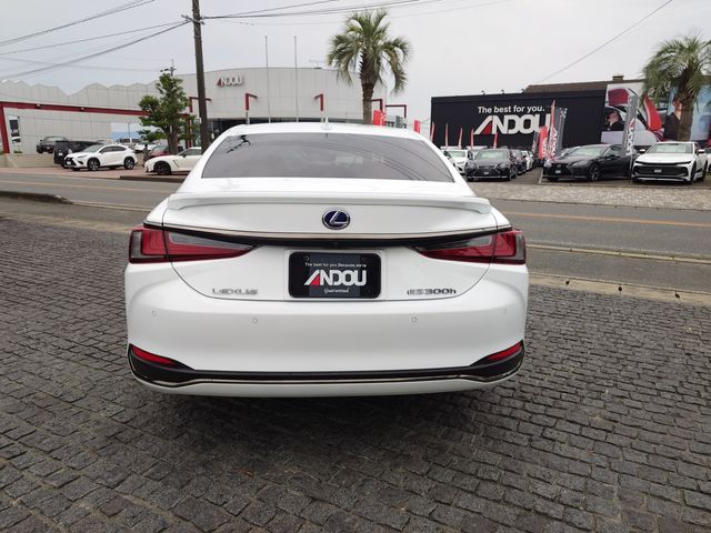 LEXUS ES300h