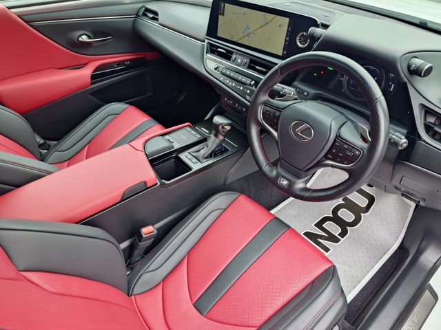 LEXUS ES300h