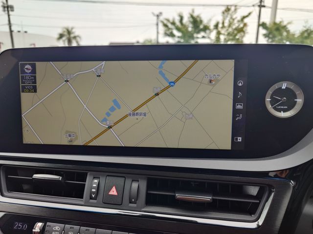LEXUS ES300h