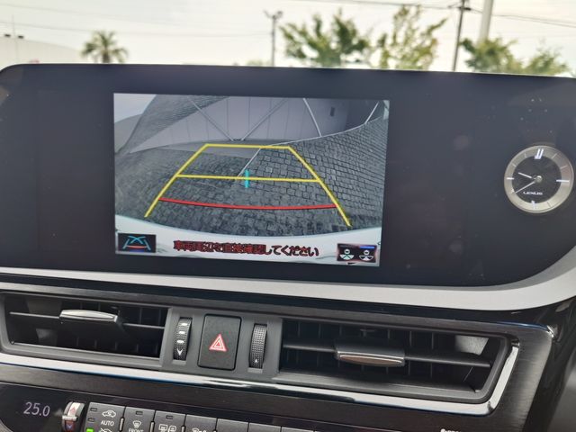LEXUS ES300h