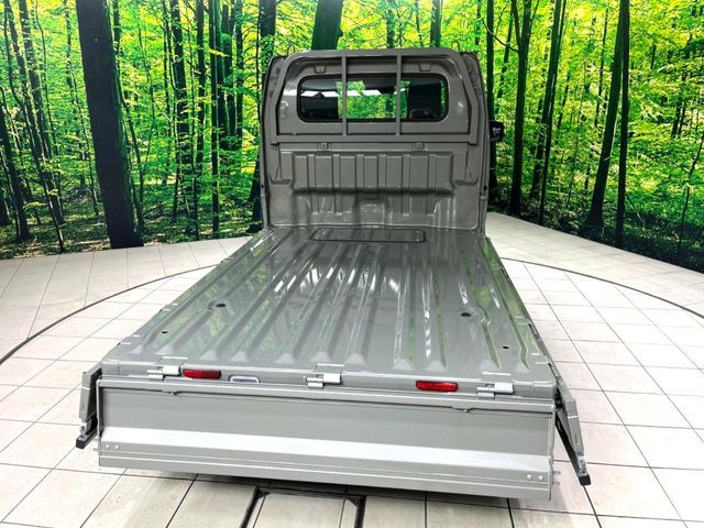 CARRY truck 4WD