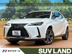 LEXUS UX250h