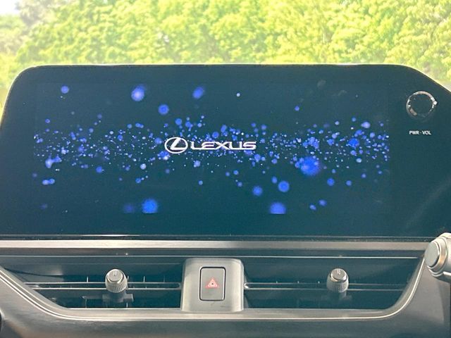 LEXUS UX250h