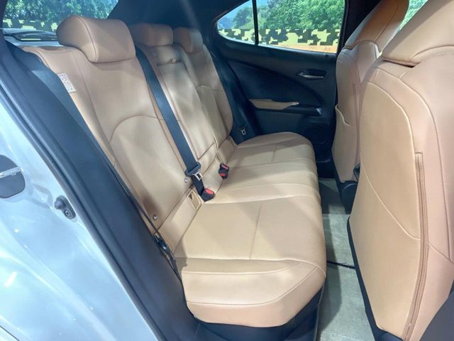 LEXUS UX250h