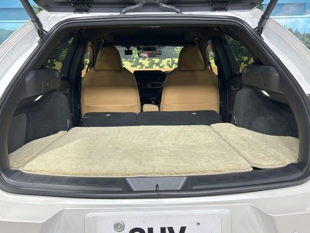 LEXUS UX250h