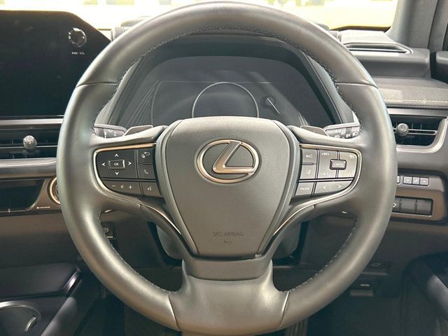 LEXUS UX250h