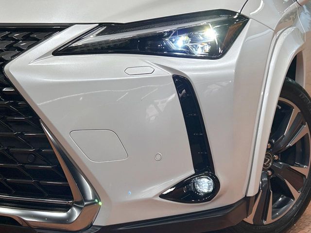 LEXUS UX250h