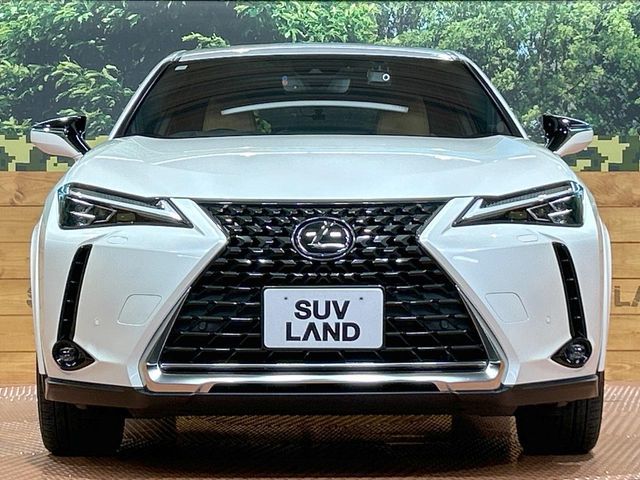 LEXUS UX250h