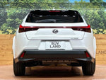 LEXUS UX250h