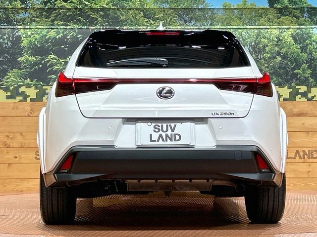LEXUS UX250h
