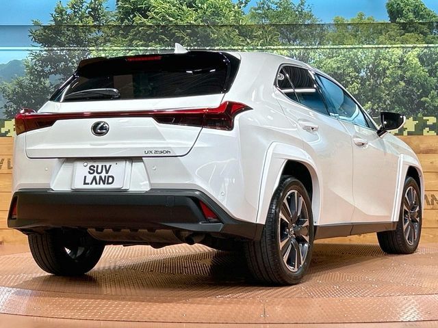 LEXUS UX250h