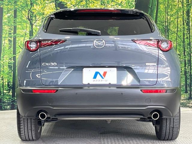 CX-30