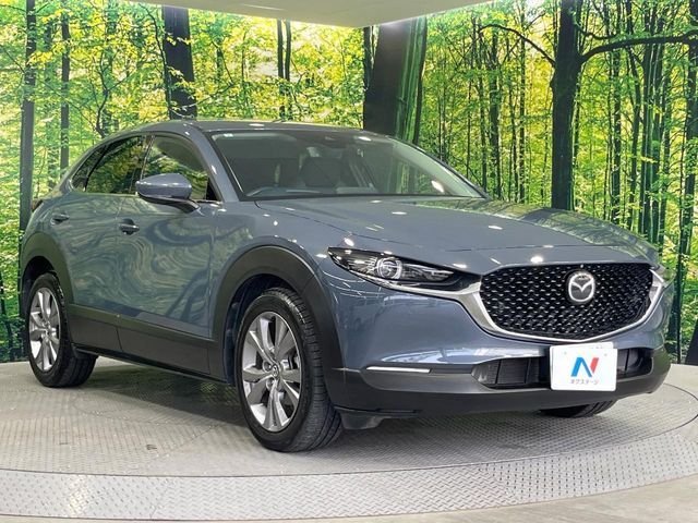 CX-30