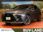 LEXUS NX350h