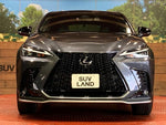 LEXUS NX350h