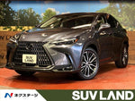 LEXUS NX450h+ AWD