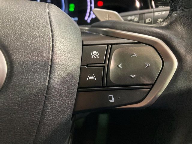 LEXUS NX450h+ AWD