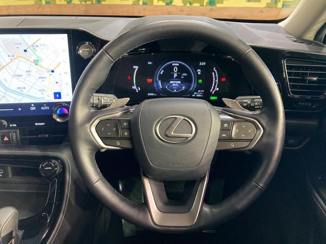 LEXUS NX450h+ AWD