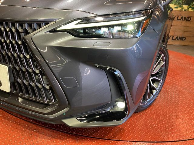 LEXUS NX450h+ AWD