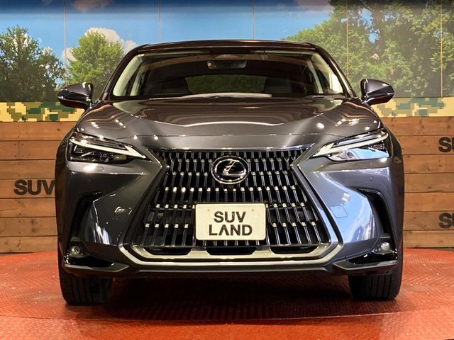 LEXUS NX450h+ AWD