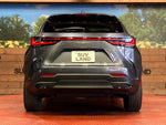 LEXUS NX450h+ AWD