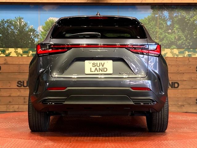 LEXUS NX450h+ AWD