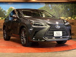LEXUS NX450h+ AWD