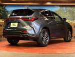 LEXUS NX450h+ AWD