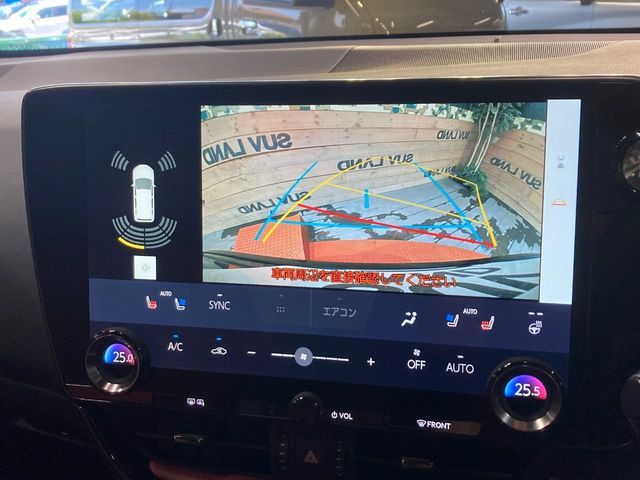 LEXUS NX250