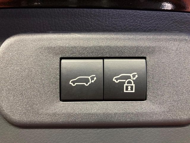 LEXUS NX250