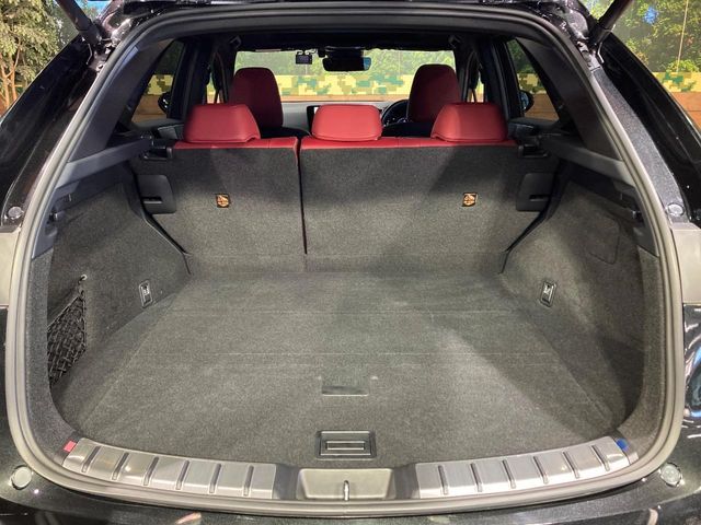 LEXUS NX250