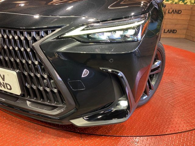 LEXUS NX250