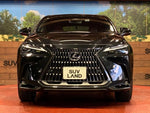 LEXUS NX250