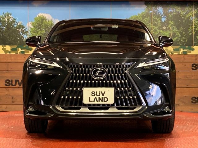 LEXUS NX250