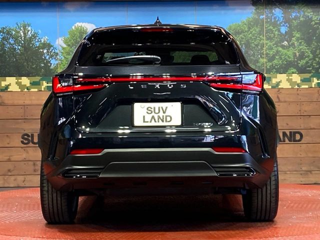 LEXUS NX250