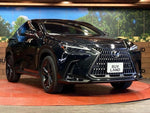 LEXUS NX250