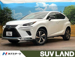 LEXUS NX300