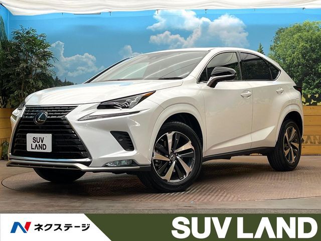 LEXUS NX300