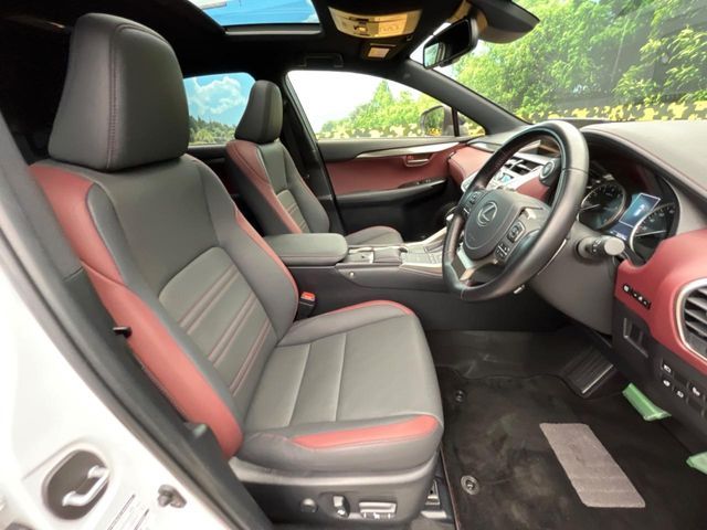 LEXUS NX300
