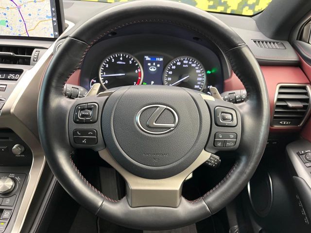 LEXUS NX300