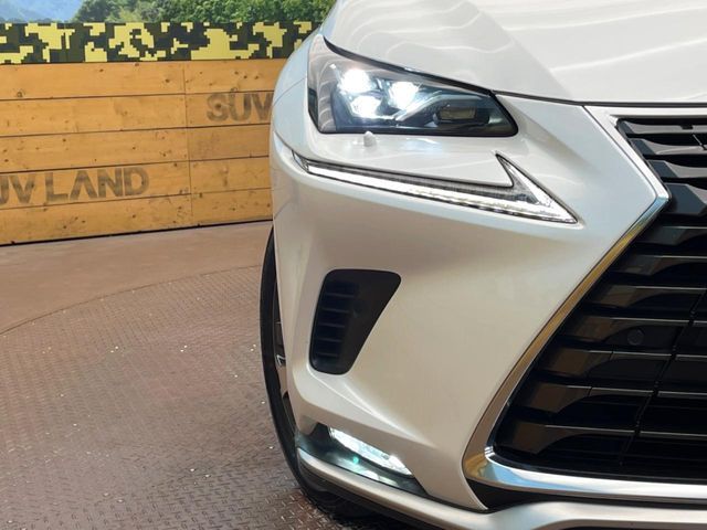 LEXUS NX300