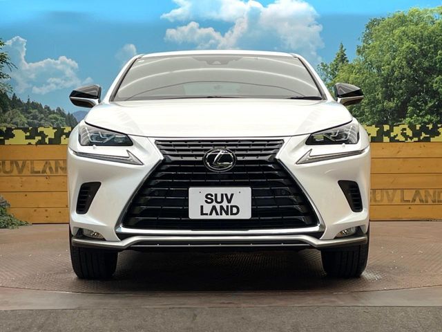 LEXUS NX300
