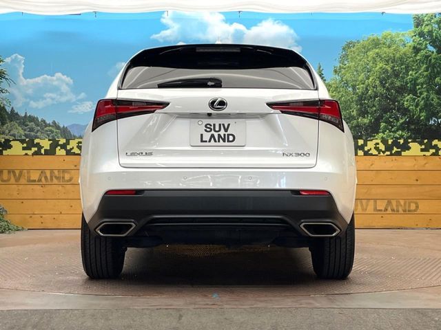 LEXUS NX300