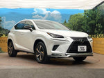 LEXUS NX300