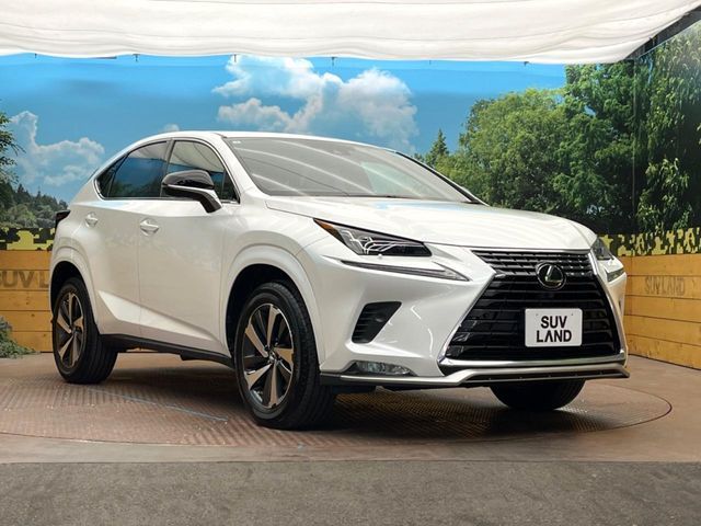 LEXUS NX300