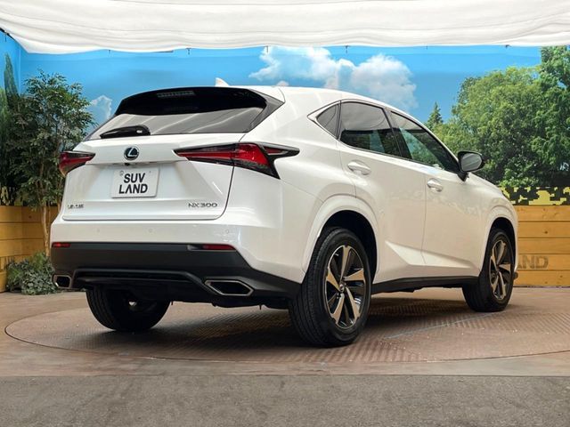 LEXUS NX300