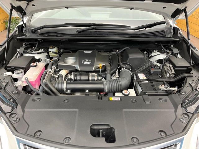 LEXUS NX300